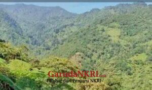 WhatsApp Image 2026-02-01 at 11.52.38