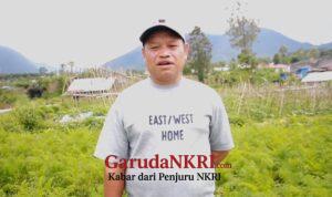 Petani Manggarai NTT: Sejak Ada MBG, Harga Wortel Kami Naik 3 Kali Lipat