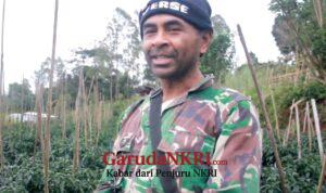 Petani NTT Bersyukur, 3.000 Pohon Buncis Terserap Semua Berkat MBG