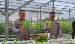 Loji Simpenan Jadi Pusat Produksi Sayuran Hidroponik untuk MBG Loji Simpenan Jadi Pusat Produksi Sayuran Hidroponik untuk MBG