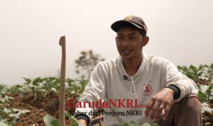 Petani Sayur di Boyolali Tersenyum Berkat MBG, Harga Naik dan Permintaan Meningkat