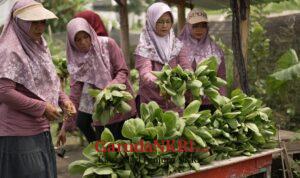 WhatsApp Image 2026-04-03 at 13.53.23 (1)