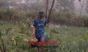 WhatsApp Image 2026-04-04 at 12.55.09