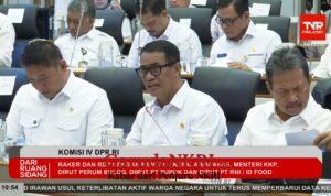 Pemerintah: Ketersediaan Jagung, Gula, hingga Telur Ayam Diproyeksikan Surplus Jelang El Nino Godzilla