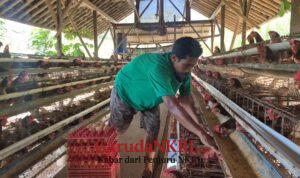 WhatsApp Image 2026-04-24 at 19.57.45