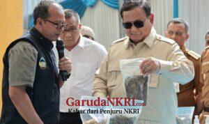 WhatsApp Image 2026-04-29 at 07.50.19