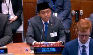 Penurunan Kebakaran Hutan hingga Pengakuan Hutan Adat Disampaikan Pemerintah Indonesia di Forum PBB