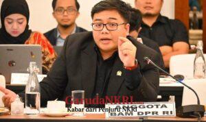 Legislator Partai Gerindra Jangan Sampai Perusahaan Digital Global Untung Besar, Indonesia Hanya Jadi Pasar