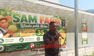 Wisata Petik Melon di Cisolok Resmi Dibuka, Dorong Pertanian Terintegrasi dan Ekonomi Lokal