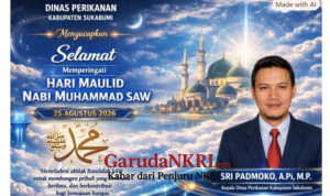 image (28)
